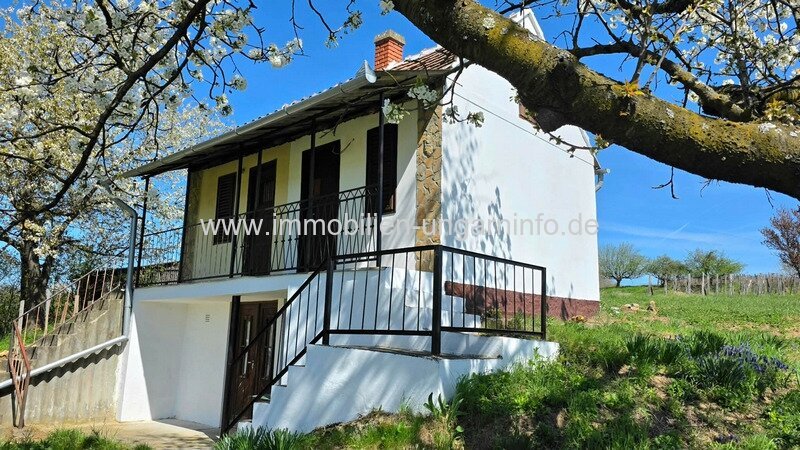 Keller/Ferienhaus in Marcali, 12 km vom Plattensee entfernt Keller/Ferienhaus in Marcali, 12 km vom Plattensee entfernt