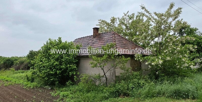 Familienhaus im Landhausstil am Dorfrand mit großem Grundstück zu verkaufen Familienhaus im Landhausstil am Dorfrand mit großem Grundstück zu verkaufen